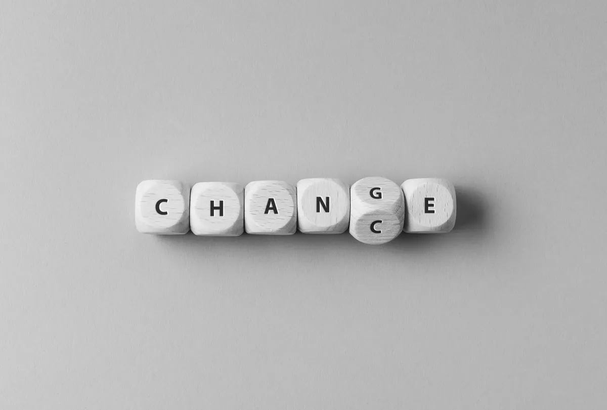 Ausbildung von Change-Agents